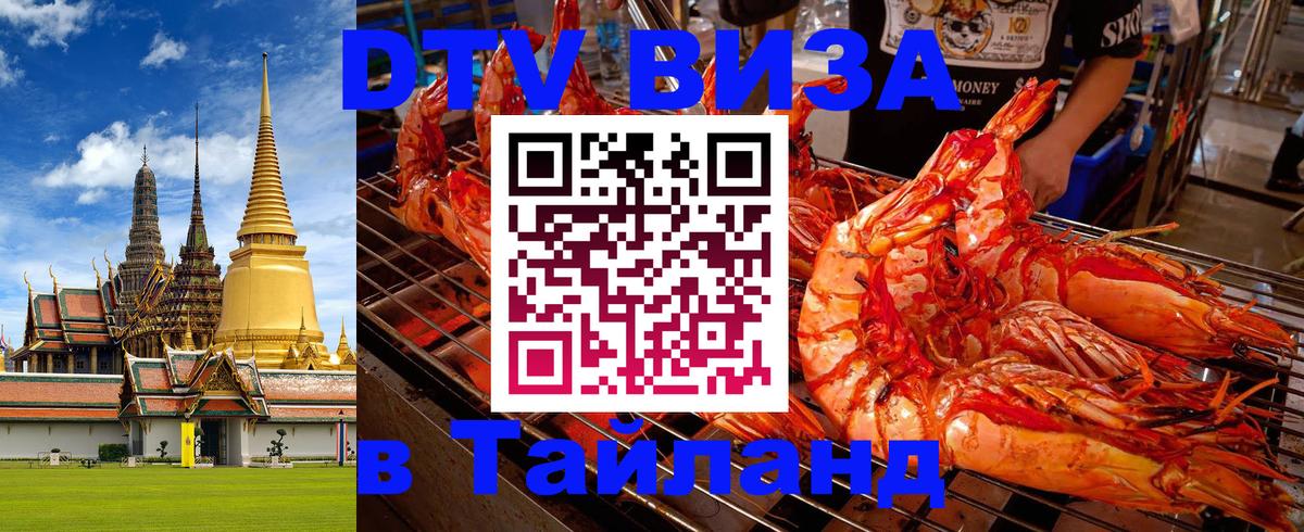 Оформление DTV визы под ключ: стоимость и тарифы, только загранпаспорт - 04.10.2025 